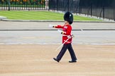 Trooping the Colour 2014.
Horse Guards Parade, Westminster,
London SW1A,

United Kingdom,
on 14 June 2014 at 10:18, image #112