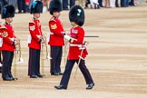 Trooping the Colour 2014.
Horse Guards Parade, Westminster,
London SW1A,

United Kingdom,
on 14 June 2014 at 10:20, image #114