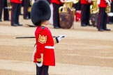 Trooping the Colour 2014.
Horse Guards Parade, Westminster,
London SW1A,

United Kingdom,
on 14 June 2014 at 10:22, image #115