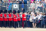 Trooping the Colour 2014.
Horse Guards Parade, Westminster,
London SW1A,

United Kingdom,
on 14 June 2014 at 10:24, image #119