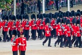 Trooping the Colour 2014.
Horse Guards Parade, Westminster,
London SW1A,

United Kingdom,
on 14 June 2014 at 10:24, image #123