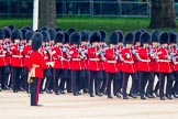 Trooping the Colour 2014.
Horse Guards Parade, Westminster,
London SW1A,

United Kingdom,
on 14 June 2014 at 10:24, image #127