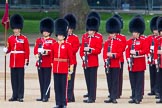 Trooping the Colour 2014.
Horse Guards Parade, Westminster,
London SW1A,

United Kingdom,
on 14 June 2014 at 10:51, image #295