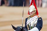 Trooping the Colour 2014.
Horse Guards Parade, Westminster,
London SW1A,

United Kingdom,
on 14 June 2014 at 10:57, image #326