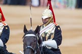 Trooping the Colour 2014.
Horse Guards Parade, Westminster,
London SW1A,

United Kingdom,
on 14 June 2014 at 10:57, image #327