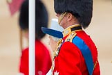 Trooping the Colour 2014.
Horse Guards Parade, Westminster,
London SW1A,

United Kingdom,
on 14 June 2014 at 11:00, image #372