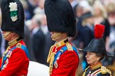 Trooping the Colour 2014.
Horse Guards Parade, Westminster,
London SW1A,

United Kingdom,
on 14 June 2014 at 11:01, image #380