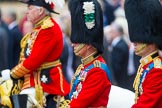 Trooping the Colour 2014.
Horse Guards Parade, Westminster,
London SW1A,

United Kingdom,
on 14 June 2014 at 11:01, image #381