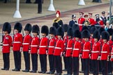 Trooping the Colour 2014.
Horse Guards Parade, Westminster,
London SW1A,

United Kingdom,
on 14 June 2014 at 11:01, image #382