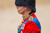 Trooping the Colour 2014.
Horse Guards Parade, Westminster,
London SW1A,

United Kingdom,
on 14 June 2014 at 11:02, image #387