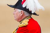 Trooping the Colour 2014.
Horse Guards Parade, Westminster,
London SW1A,

United Kingdom,
on 14 June 2014 at 11:02, image #388