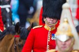 Trooping the Colour 2014.
Horse Guards Parade, Westminster,
London SW1A,

United Kingdom,
on 14 June 2014 at 11:03, image #402