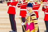 Trooping the Colour 2014.
Horse Guards Parade, Westminster,
London SW1A,

United Kingdom,
on 14 June 2014 at 11:13, image #466