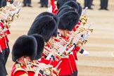 Trooping the Colour 2014.
Horse Guards Parade, Westminster,
London SW1A,

United Kingdom,
on 14 June 2014 at 11:15, image #484