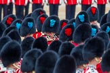 Trooping the Colour 2014.
Horse Guards Parade, Westminster,
London SW1A,

United Kingdom,
on 14 June 2014 at 11:16, image #492