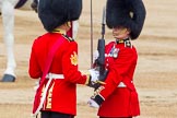 Trooping the Colour 2014.
Horse Guards Parade, Westminster,
London SW1A,

United Kingdom,
on 14 June 2014 at 11:21, image #529