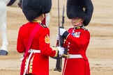 Trooping the Colour 2014.
Horse Guards Parade, Westminster,
London SW1A,

United Kingdom,
on 14 June 2014 at 11:21, image #530