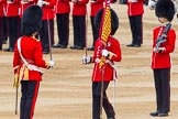 Trooping the Colour 2014.
Horse Guards Parade, Westminster,
London SW1A,

United Kingdom,
on 14 June 2014 at 11:21, image #535