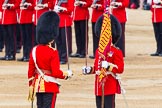 Trooping the Colour 2014.
Horse Guards Parade, Westminster,
London SW1A,

United Kingdom,
on 14 June 2014 at 11:21, image #536