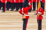 Trooping the Colour 2014.
Horse Guards Parade, Westminster,
London SW1A,

United Kingdom,
on 14 June 2014 at 11:21, image #537