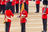 Trooping the Colour 2014.
Horse Guards Parade, Westminster,
London SW1A,

United Kingdom,
on 14 June 2014 at 11:21, image #538