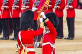 Trooping the Colour 2014.
Horse Guards Parade, Westminster,
London SW1A,

United Kingdom,
on 14 June 2014 at 11:21, image #540