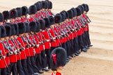 Trooping the Colour 2014.
Horse Guards Parade, Westminster,
London SW1A,

United Kingdom,
on 14 June 2014 at 11:39, image #651