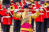 Trooping the Colour 2014.
Horse Guards Parade, Westminster,
London SW1A,

United Kingdom,
on 14 June 2014 at 11:40, image #657