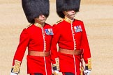 The Colonel's Review 2015.
Horse Guards Parade, Westminster,
London,

United Kingdom,
on 06 June 2015 at 09:44, image #22