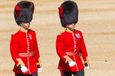 The Colonel's Review 2015.
Horse Guards Parade, Westminster,
London,

United Kingdom,
on 06 June 2015 at 09:44, image #23