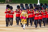 The Colonel's Review 2015.
Horse Guards Parade, Westminster,
London,

United Kingdom,
on 06 June 2015 at 10:14, image #28