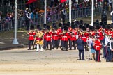 The Colonel's Review 2015.
Horse Guards Parade, Westminster,
London,

United Kingdom,
on 06 June 2015 at 10:15, image #29