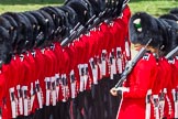 The Colonel's Review 2015.
Horse Guards Parade, Westminster,
London,

United Kingdom,
on 06 June 2015 at 10:32, image #96