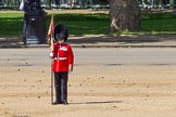 The Colonel's Review 2015.
Horse Guards Parade, Westminster,
London,

United Kingdom,
on 06 June 2015 at 10:34, image #100