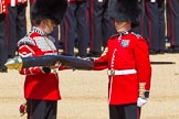 The Colonel's Review 2015.
Horse Guards Parade, Westminster,
London,

United Kingdom,
on 06 June 2015 at 10:34, image #103