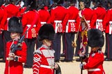 The Colonel's Review 2015.
Horse Guards Parade, Westminster,
London,

United Kingdom,
on 06 June 2015 at 10:35, image #110