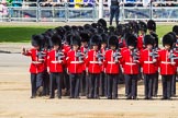 The Colonel's Review 2015.
Horse Guards Parade, Westminster,
London,

United Kingdom,
on 06 June 2015 at 10:36, image #111