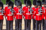 The Colonel's Review 2015.
Horse Guards Parade, Westminster,
London,

United Kingdom,
on 06 June 2015 at 10:36, image #113