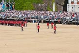 The Colonel's Review 2015.
Horse Guards Parade, Westminster,
London,

United Kingdom,
on 06 June 2015 at 10:37, image #118