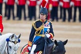 Trooping the Colour 2015.
Horse Guards Parade, Westminster,
London,

United Kingdom,
on 13 June 2015 at 11:05, image #304