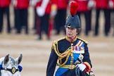 Trooping the Colour 2015.
Horse Guards Parade, Westminster,
London,

United Kingdom,
on 13 June 2015 at 11:05, image #306