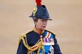 Trooping the Colour 2015.
Horse Guards Parade, Westminster,
London,

United Kingdom,
on 13 June 2015 at 11:05, image #313