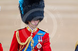 Trooping the Colour 2015. Image #311, 13 June 2015 11:05 Horse Guards Parade, London, UK