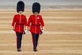 The Colonel's Review 2016.
Horse Guards Parade, Westminster,
London,

United Kingdom,
on 04 June 2016 at 10:01, image #23