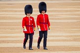 The Colonel's Review 2016.
Horse Guards Parade, Westminster,
London,

United Kingdom,
on 04 June 2016 at 10:01, image #24