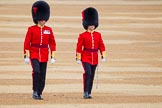 The Colonel's Review 2016.
Horse Guards Parade, Westminster,
London,

United Kingdom,
on 04 June 2016 at 10:03, image #25