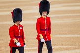 The Colonel's Review 2016.
Horse Guards Parade, Westminster,
London,

United Kingdom,
on 04 June 2016 at 10:07, image #28