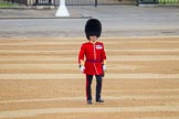 The Colonel's Review 2016.
Horse Guards Parade, Westminster,
London,

United Kingdom,
on 04 June 2016 at 10:08, image #29