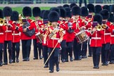 The Colonel's Review 2016.
Horse Guards Parade, Westminster,
London,

United Kingdom,
on 04 June 2016 at 10:14, image #37