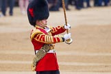 The Colonel's Review 2016.
Horse Guards Parade, Westminster,
London,

United Kingdom,
on 04 June 2016 at 10:16, image #40